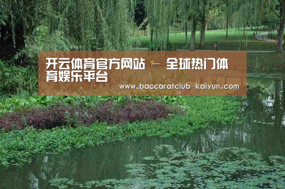 案例展示一(图1)
