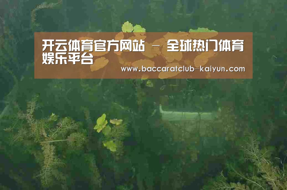 案例展示三(图1)