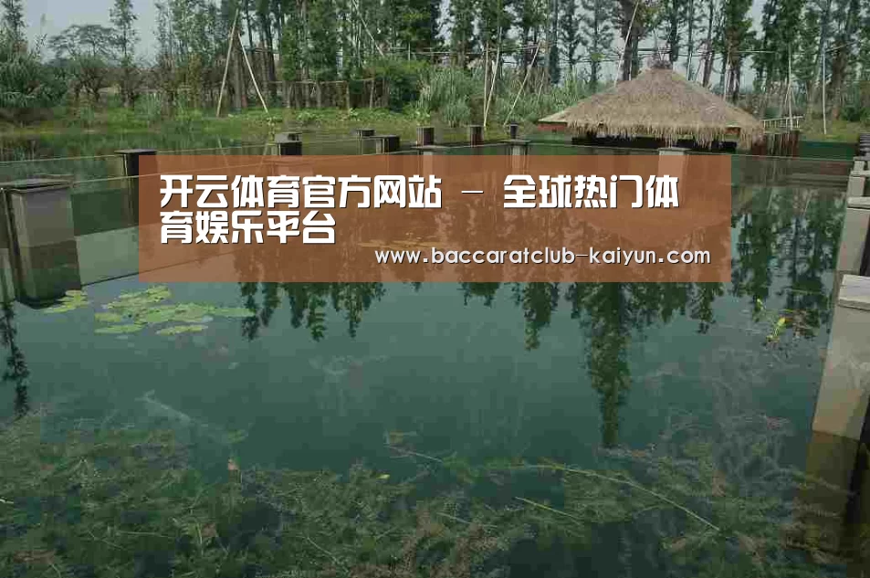 案例展示二(图1)