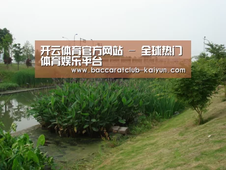 案例展示四(图1)