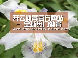 产品名称二