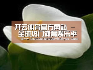 产品名称七