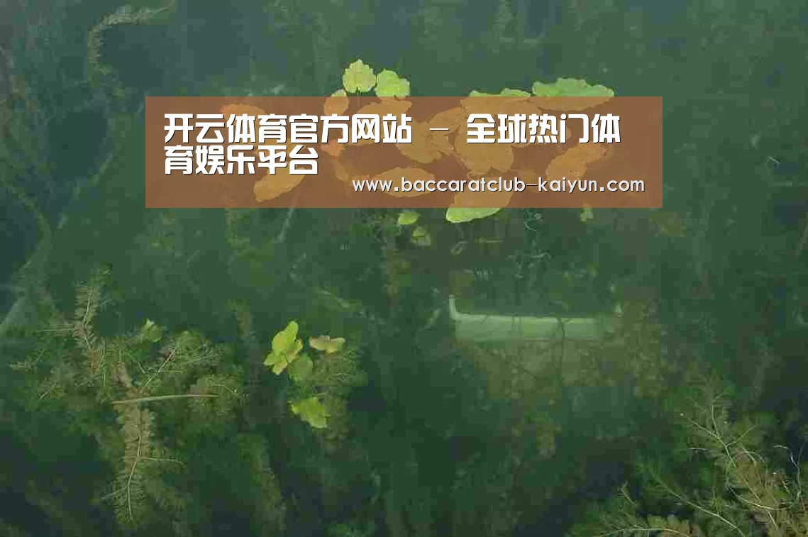 案例展示三