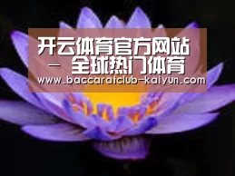 产品名称六
