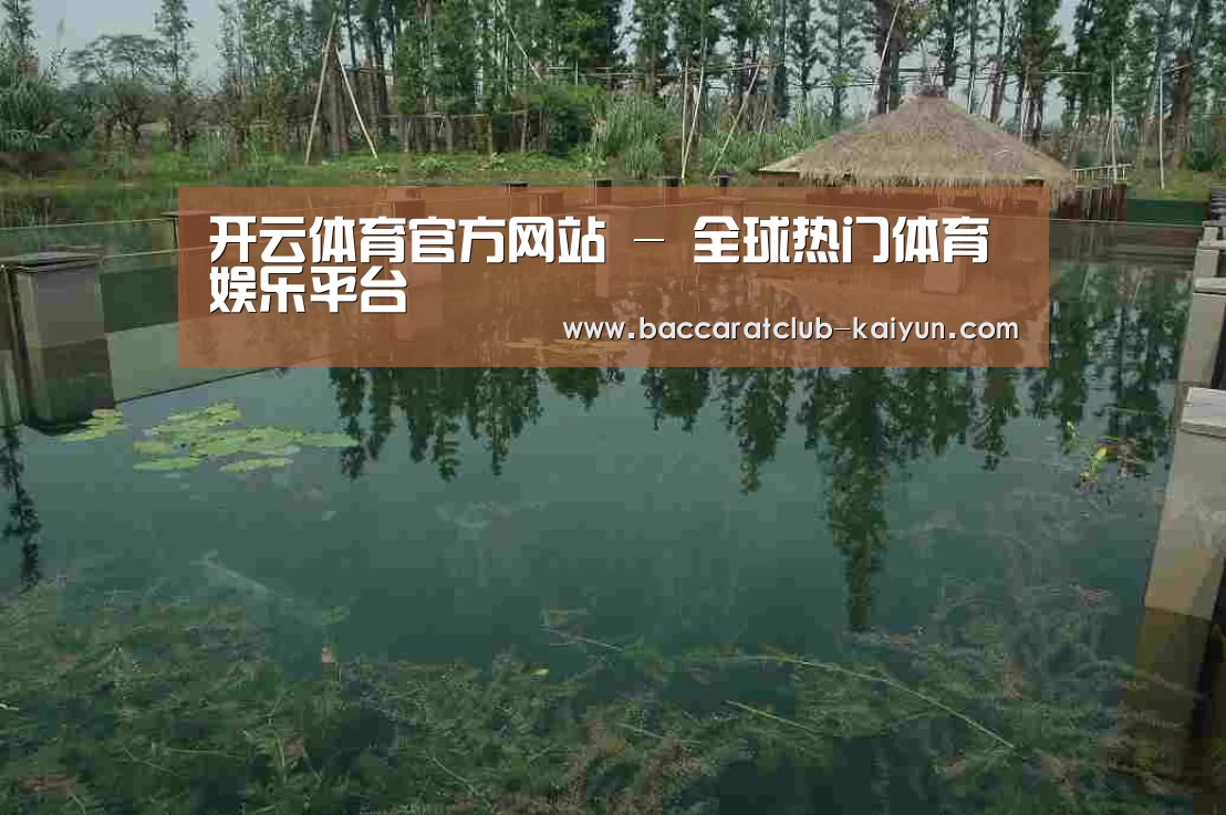 案例展示二