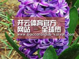 产品名称八
