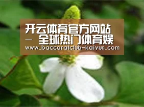 产品名称三