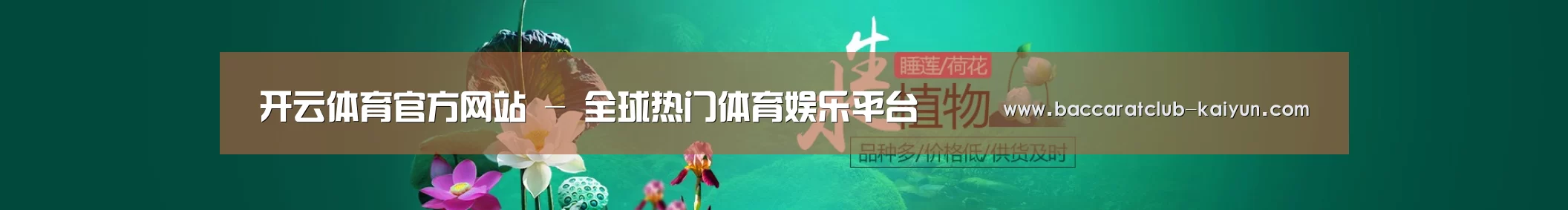 鲜花水草花卉网站模板