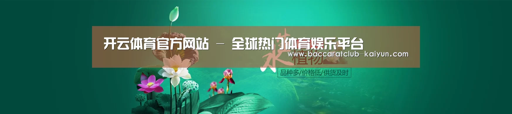 鲜花水草花卉网站模板