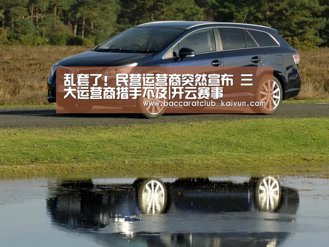 乱套了!民营运营商突然宣布 三大运营商措手不及|开云赛事(图3) 开云体育