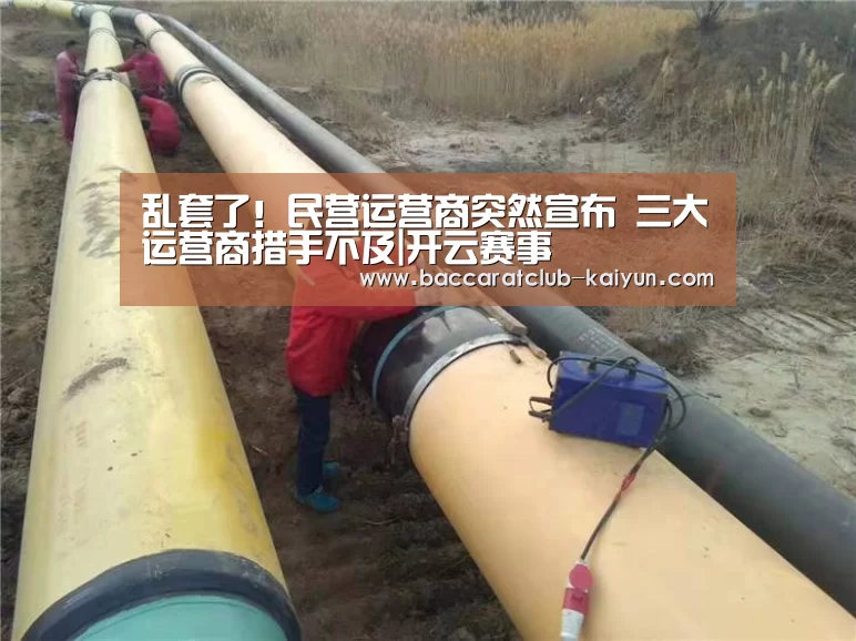 乱套了!民营运营商突然宣布 三大运营商措手不及|开云赛事(图1) 开云足球