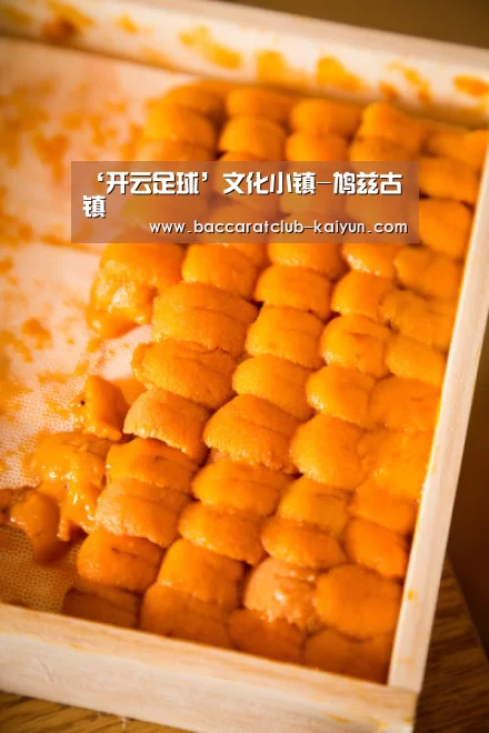 开云赛事