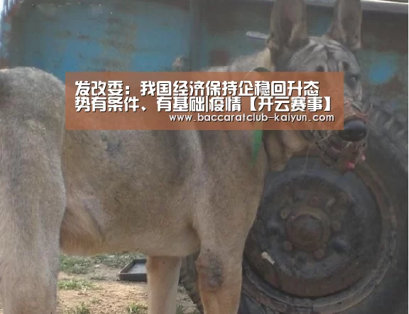 发改委:我国经济保持企稳回升态势有条件、有基础|疫情【开云赛事】(图2) 开云体育