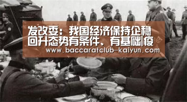 发改委:我国经济保持企稳回升态势有条件、有基础|疫情【开云赛事】(图1) 开云篮球