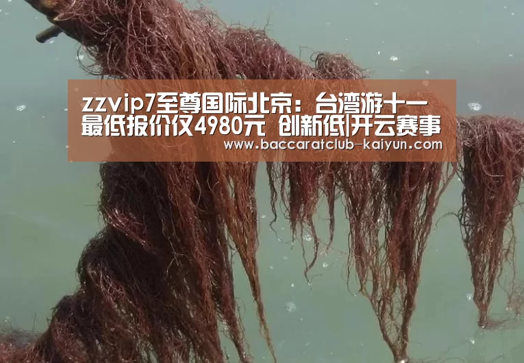 开云足球
