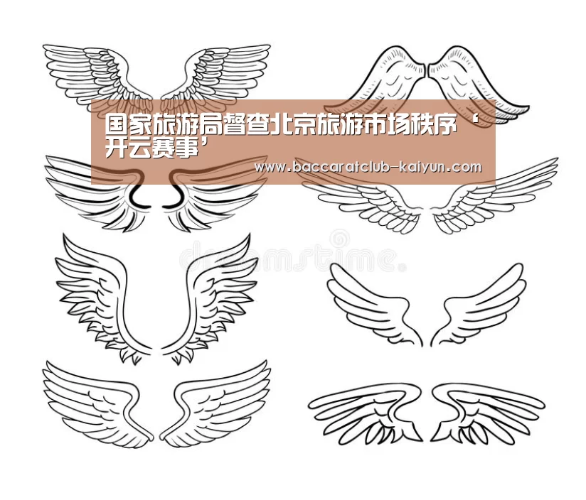 国家旅游局督查北京旅游市场秩序‘开云赛事’(图1) 开云赛事