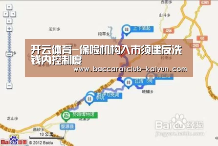 开云体育-保险机构入市须建反洗钱内控制度(图1) 开云赛事