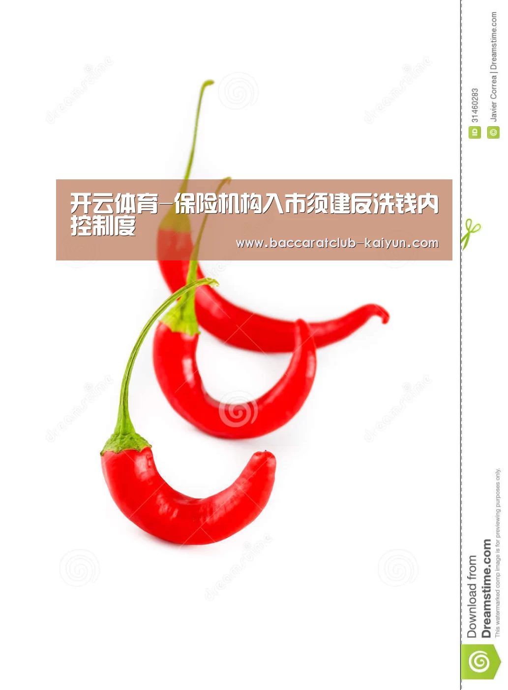 开云体育-保险机构入市须建反洗钱内控制度(图4) 开云篮球