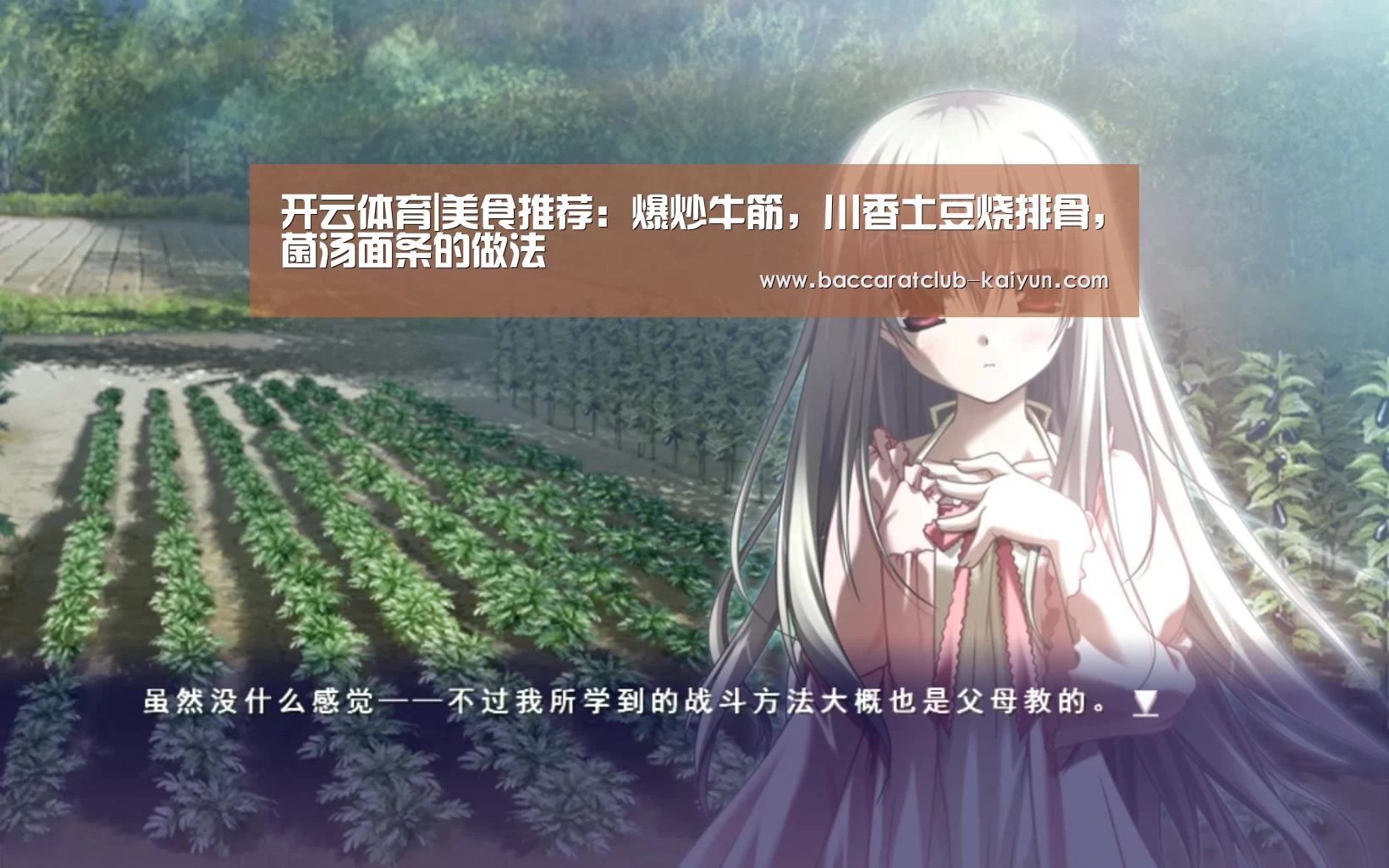 开云赛事