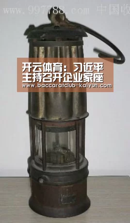 开云体育:习近平主持召开企业家座谈会(图3) 开云篮球