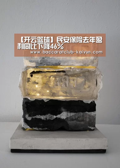 【开云篮球】民安保险去年盈利同比下降46%(图3) 开云体育