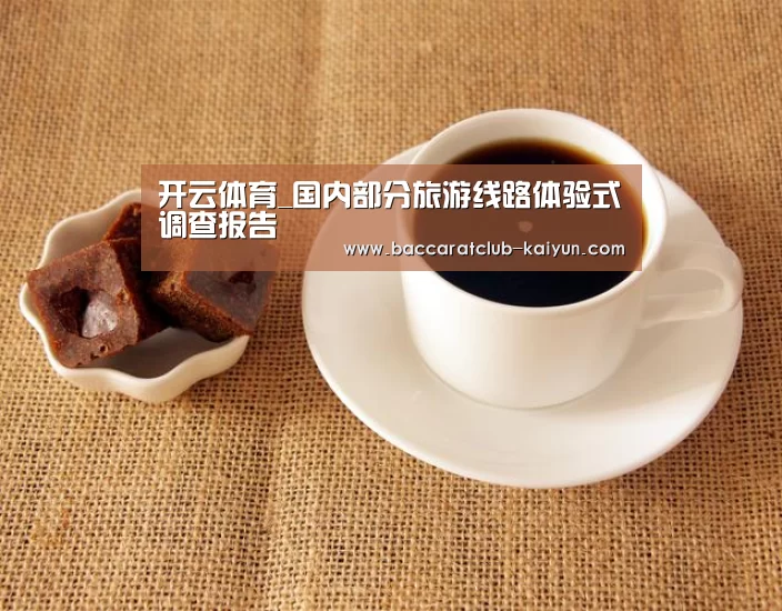 开云体育_国内部分旅游线路体验式调查报告(图3) 开云篮球