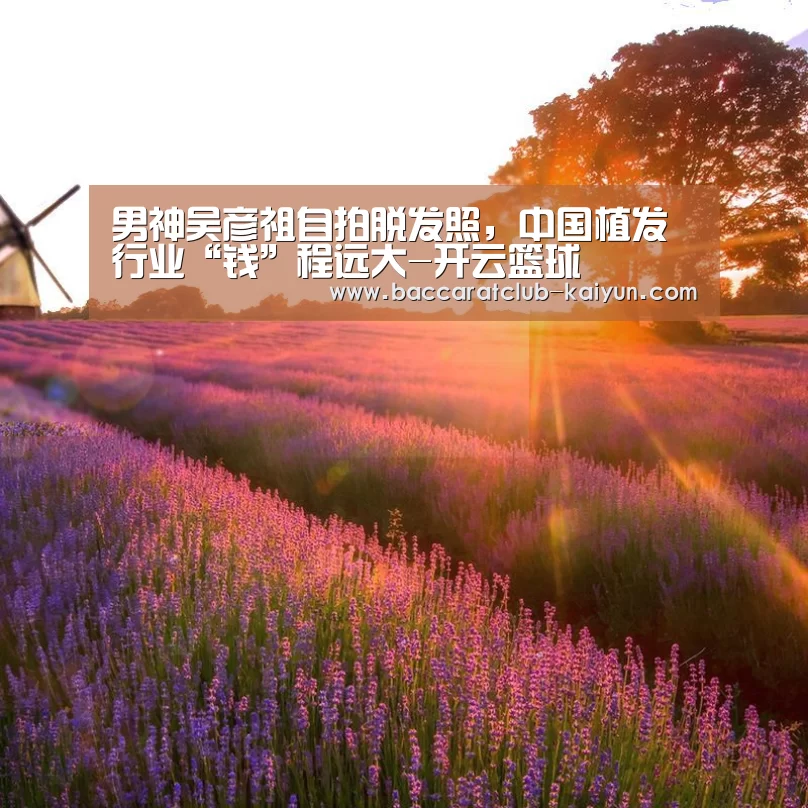开云篮球